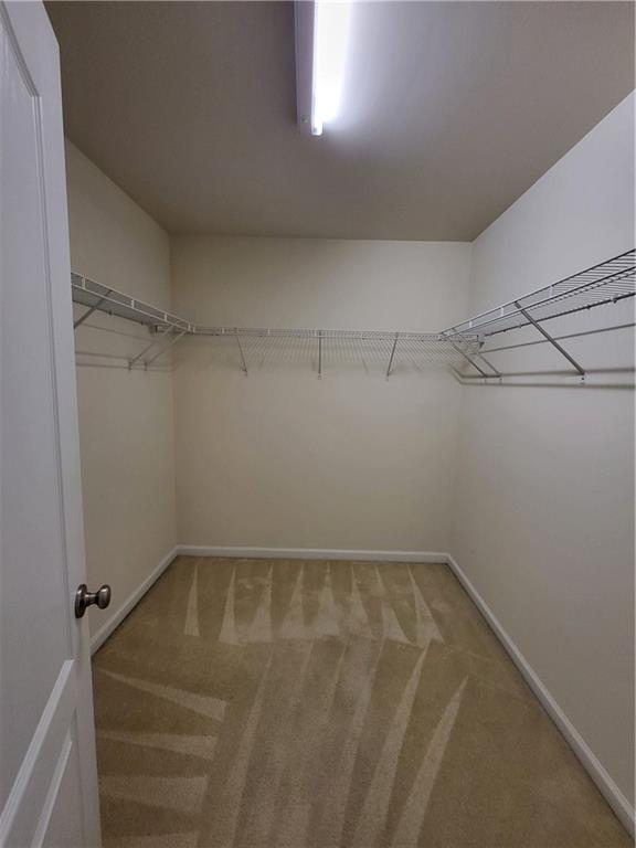 Building Photo - 3162 Cedar Glade Ln NE