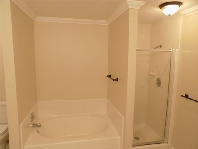 Building Photo - 18018 Imber Forest Ln