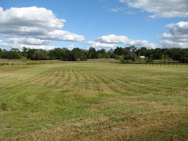 Building Photo - Beautiful 11.16 Acre Farm with Lots of Amenities!