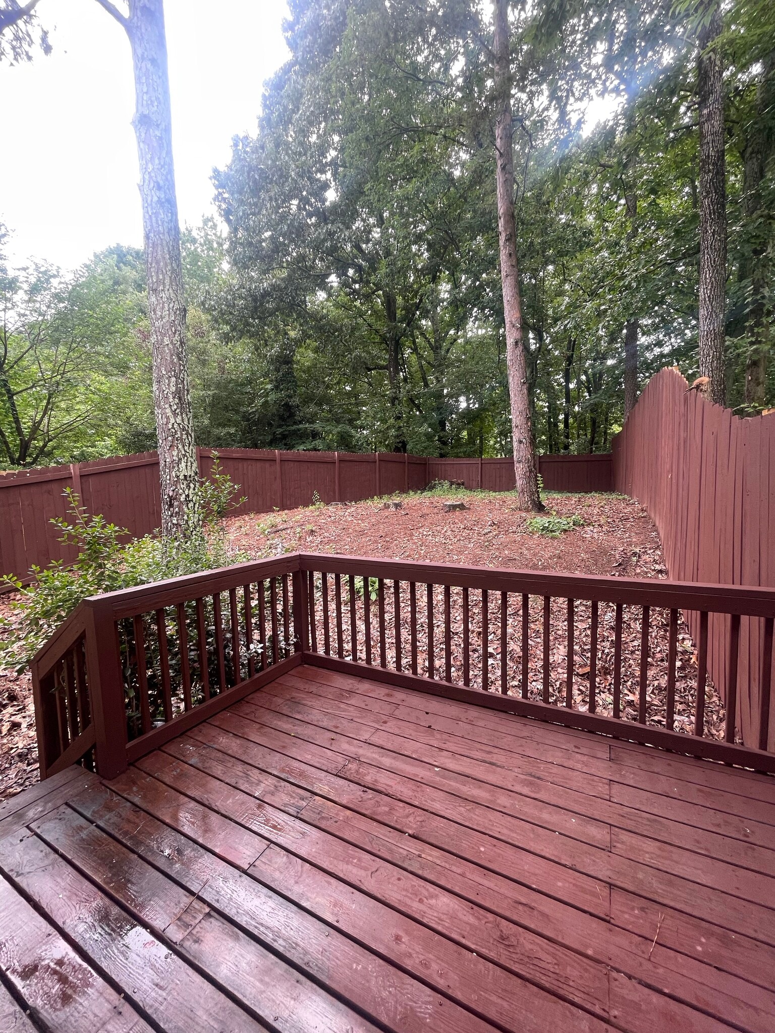 Back yard - 931 Mill Stone Dr