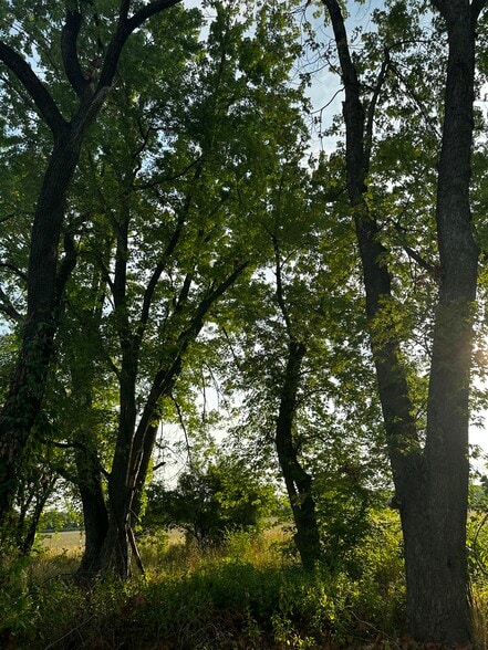 Take a deep breath, put out a hammock, listen to the lack of busy traffic and you’ll hear bird song. - 851 9th St