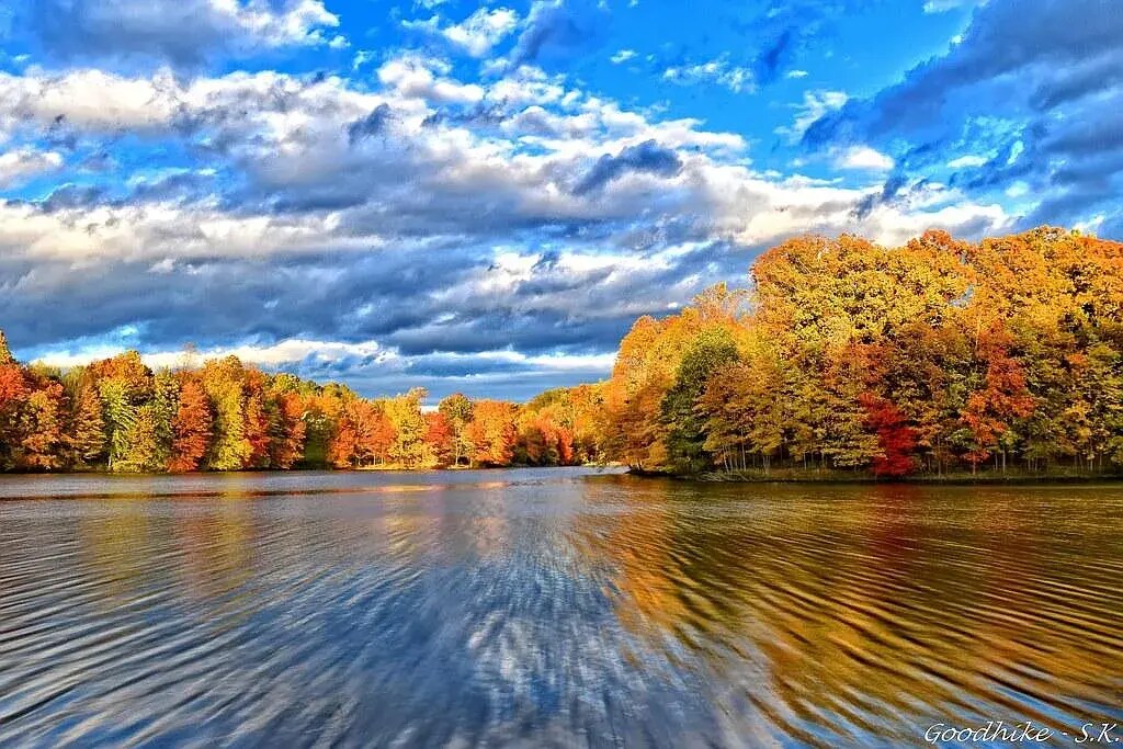 Building Photo - 20253 Shipley Ter