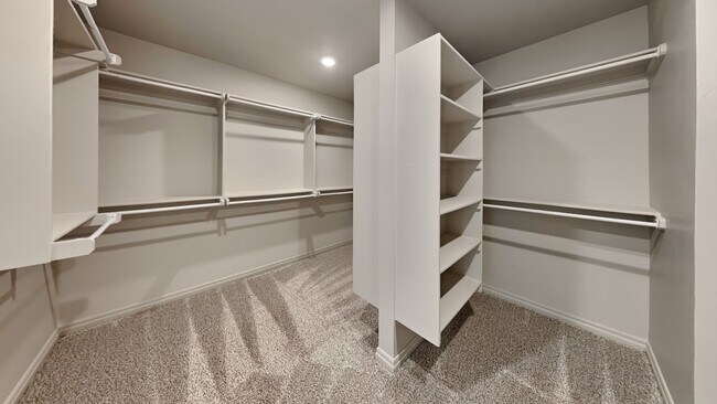 Building Photo - Luxury 4 Bedroom 3 Bathroom Home in Lone O...