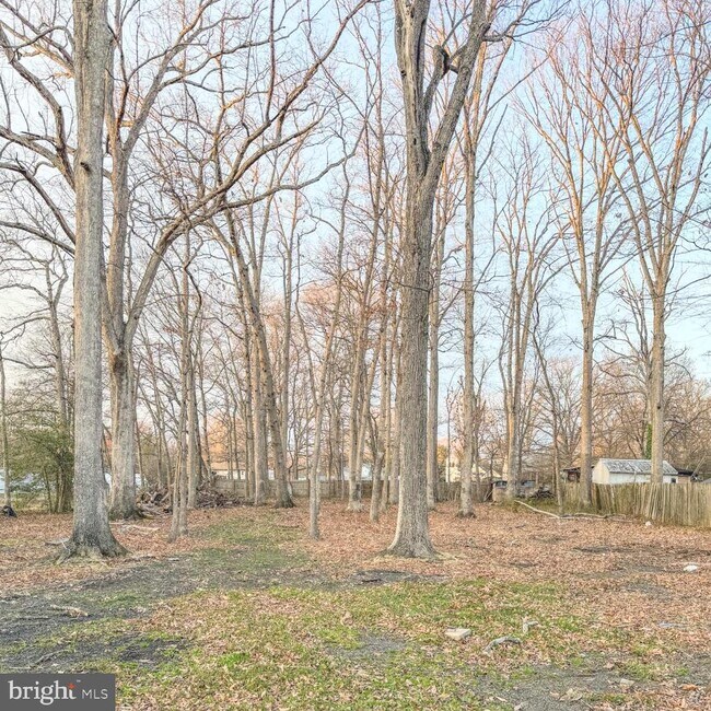 Building Photo - 205 Biddle Rd