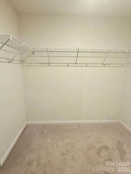 Building Photo - 2834 Oldfield Dr