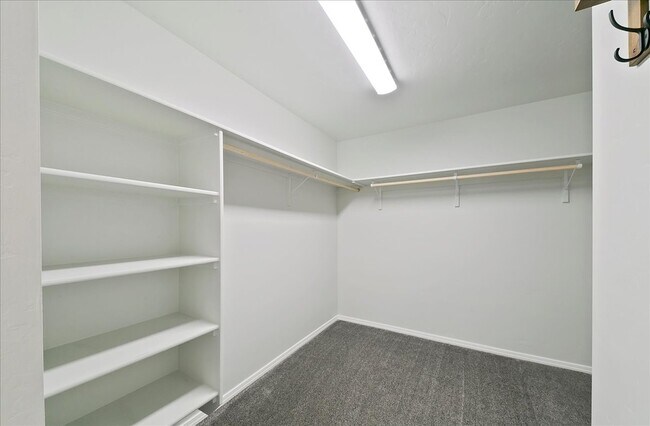 Building Photo - 12311 Noreen St