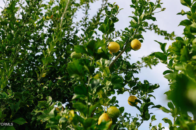 Building Photo - 2506 Weston Pl