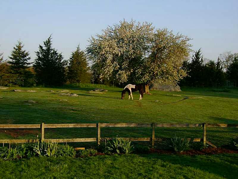 Building Photo - 43 Serpentine Rd