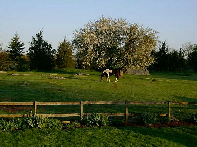 Building Photo - 43 Serpentine Rd