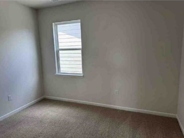 Building Photo - 553 Lemon Daisy Ln