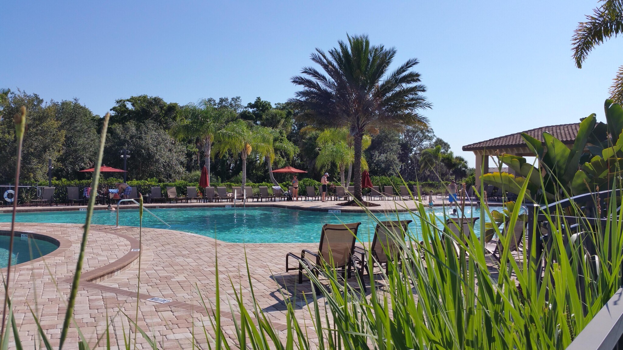 Building Photo - 7005 River Hammock Dr