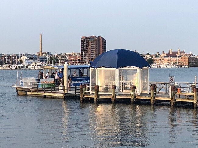 Building Photo - Modern Large and spacious house available in Locus Point