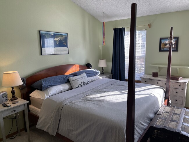 Master bedroom - 8185 S Fillmore Cir