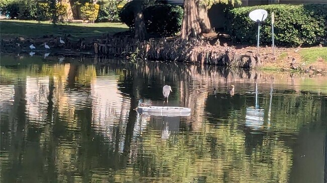 Building Photo - 1948 Lake Atriums Cir