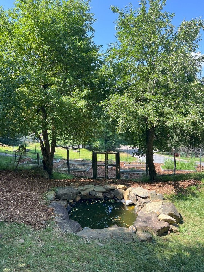 Building Photo - Just Beyond Downtown Boone with Amazing Mo...