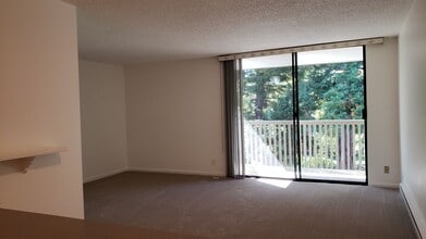 Building Photo - Cozy Studio Condo Available Now at Shelter Creek!
