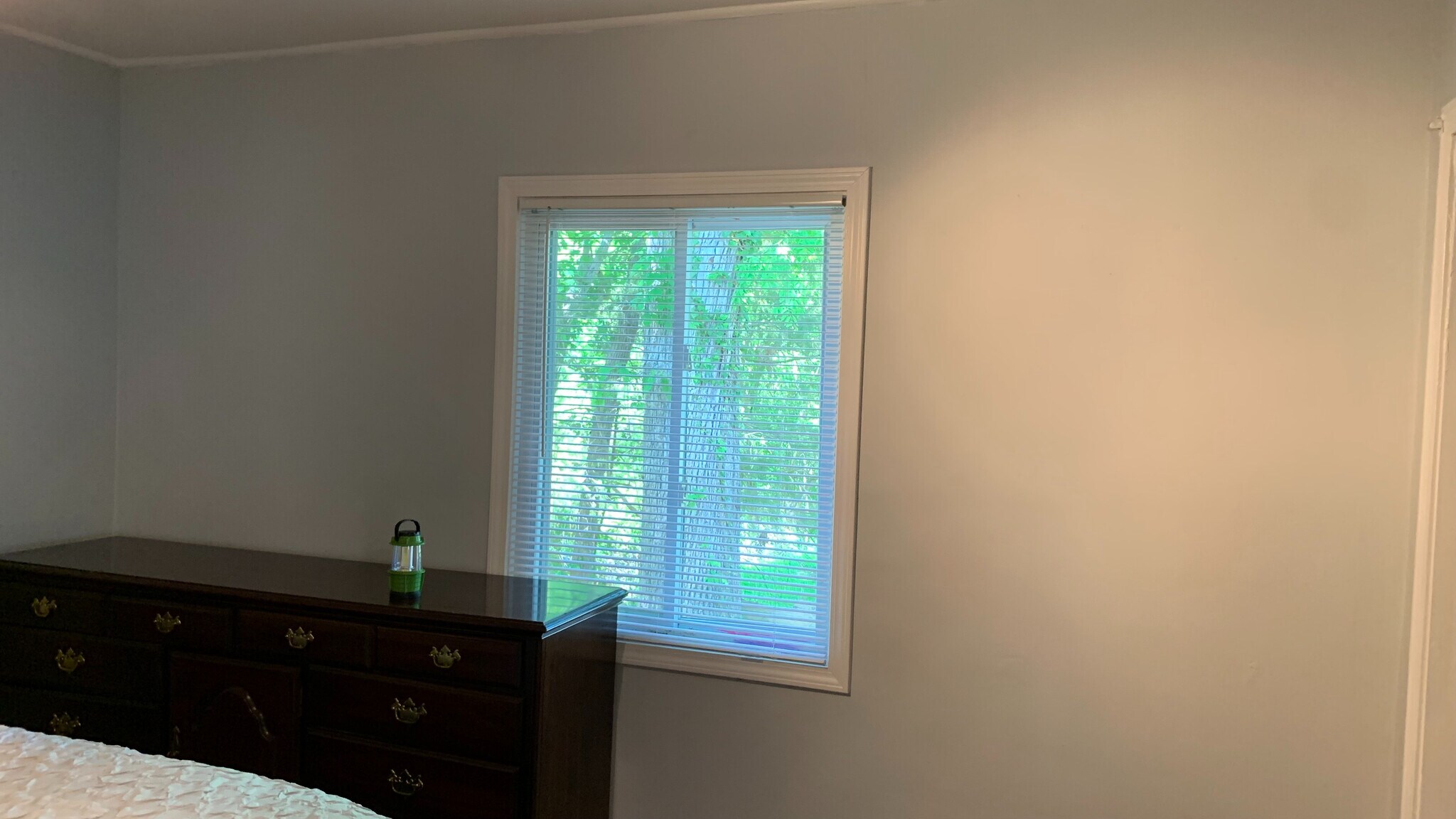 Building Photo - Room in House on E Cornwallis Rd