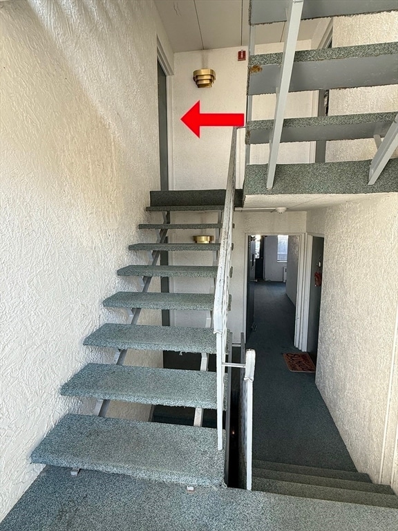 Building Photo - 269 Lake St