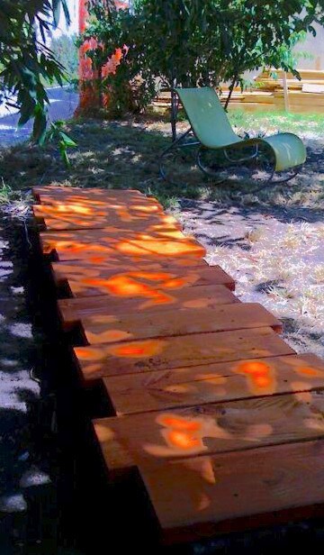 Under the avocado tree - 5208 W 20th St