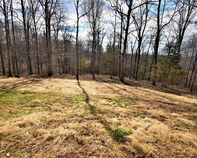 Building Photo - 3 Bedroom Pet Friendly Home For Rent in Th...
