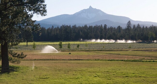 Building Photo - Furnished Condo in Pine Meadow Village