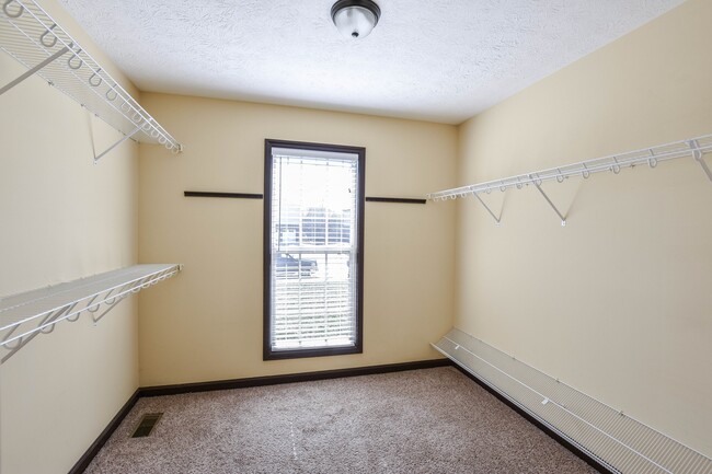 Building Photo - Pet Friendly with No Backyard Neighbors!