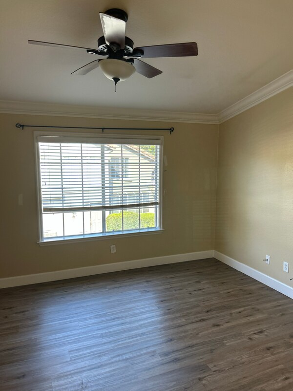 Building Photo - 19 Tulip Pl