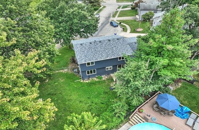 Building Photo - SCOTCH PINE