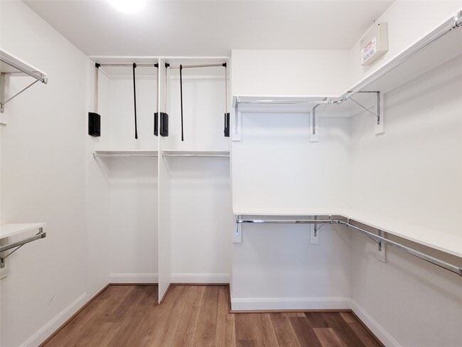 Building Photo - 12 Hermann Park Ct