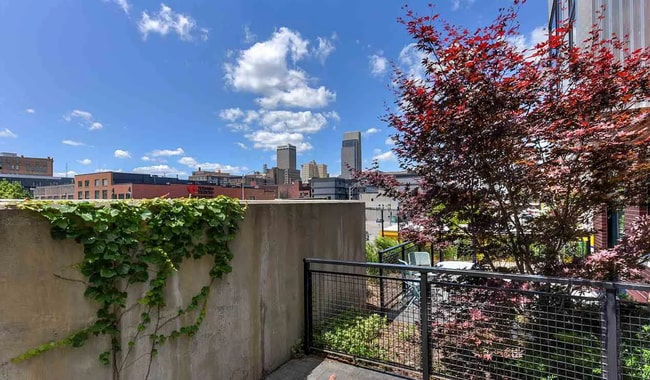 Building Photo - Luxury Downtown Condo!!