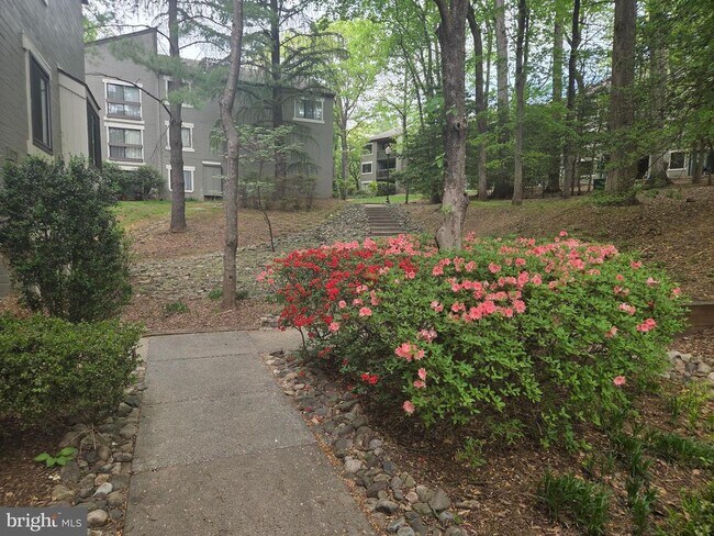 Building Photo - 11723 Karbon Hill Ct