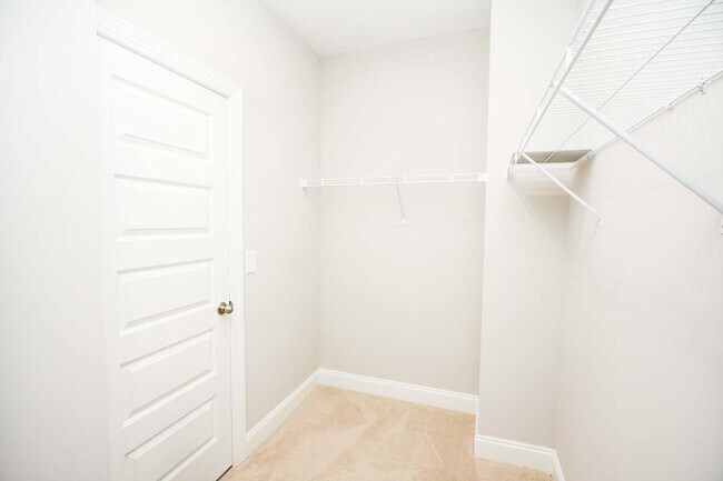 Building Photo - 3152 Anstey Ln