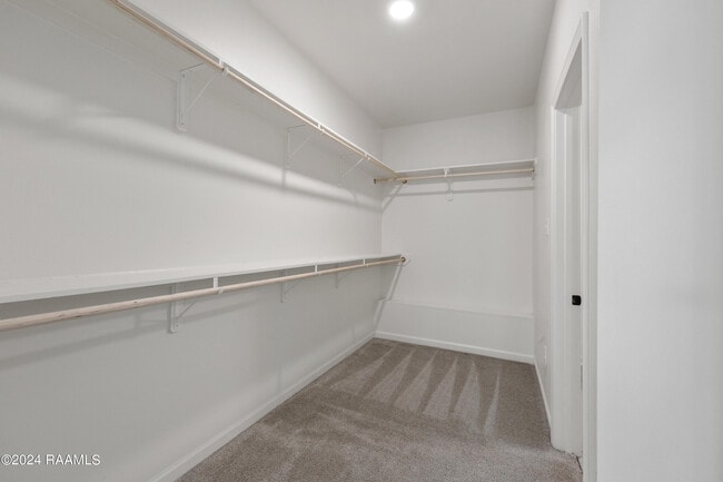 Building Photo - 109 Springsteen Ln