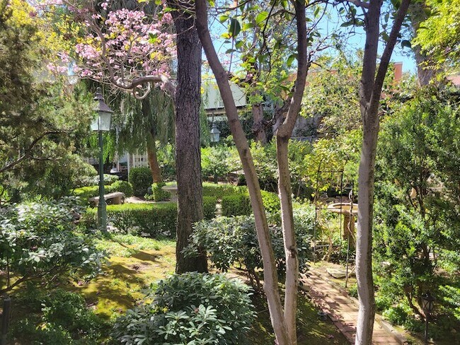 Building Photo - 2057 N Las Palmas Ave