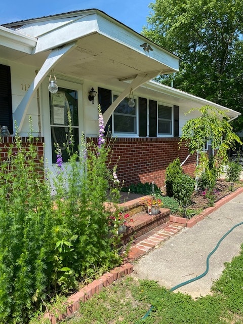 Building Photo - 113 Malone Ave