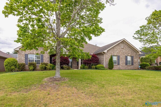 Building Photo - 105 Blanca Dr