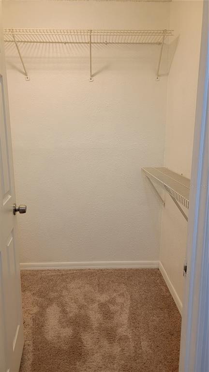 Building Photo - 4023 Versailles Dr