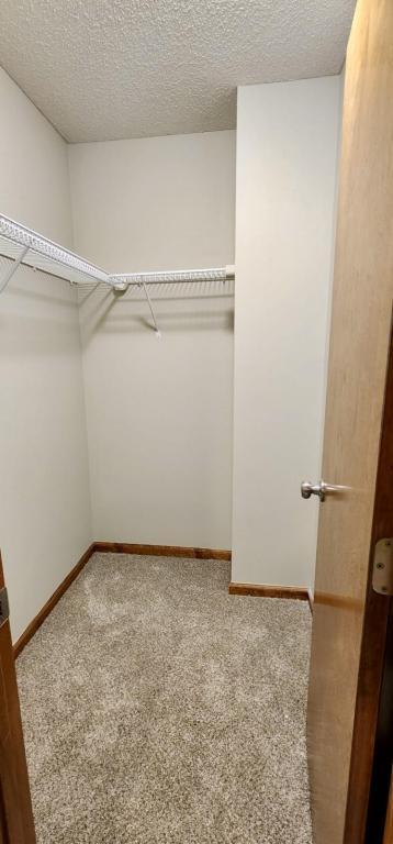 Building Photo - 1713 Briarwood Ln