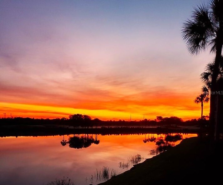 Building Photo - 7803 Grand Estuary Trl