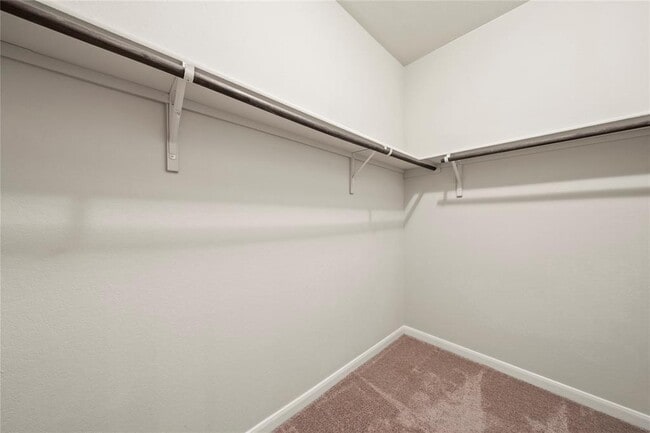 Building Photo - 307 Limestone Creek