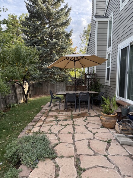 Backyard - 332 Buchanan Ct