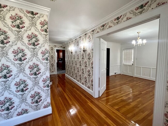 Building Photo - 437 Banks St