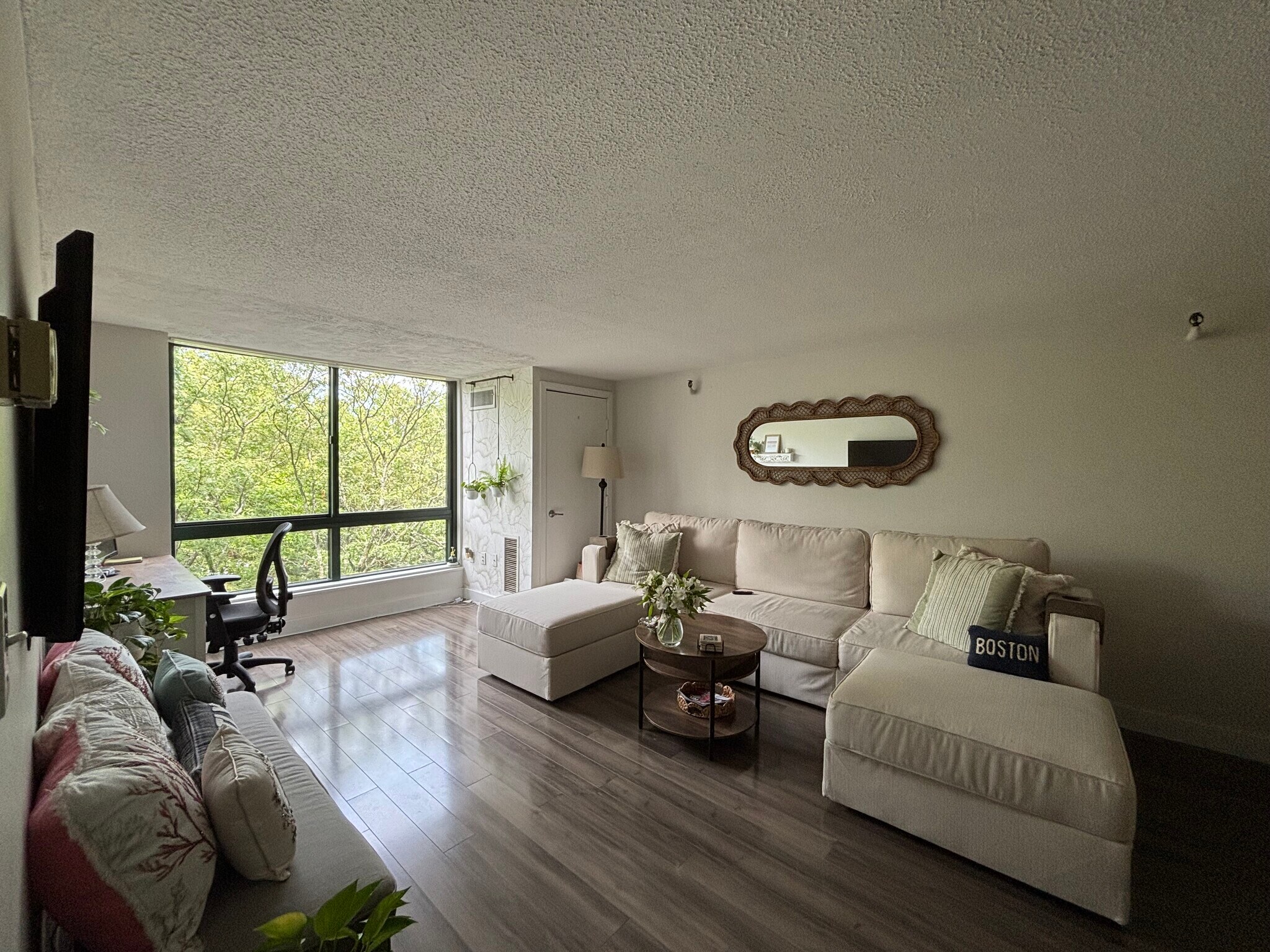 Sun-filled living room - 42 8th St