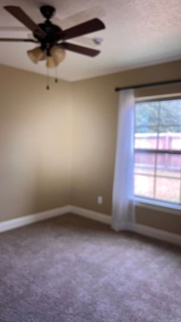 Building Photo - 317 Barbara Dr