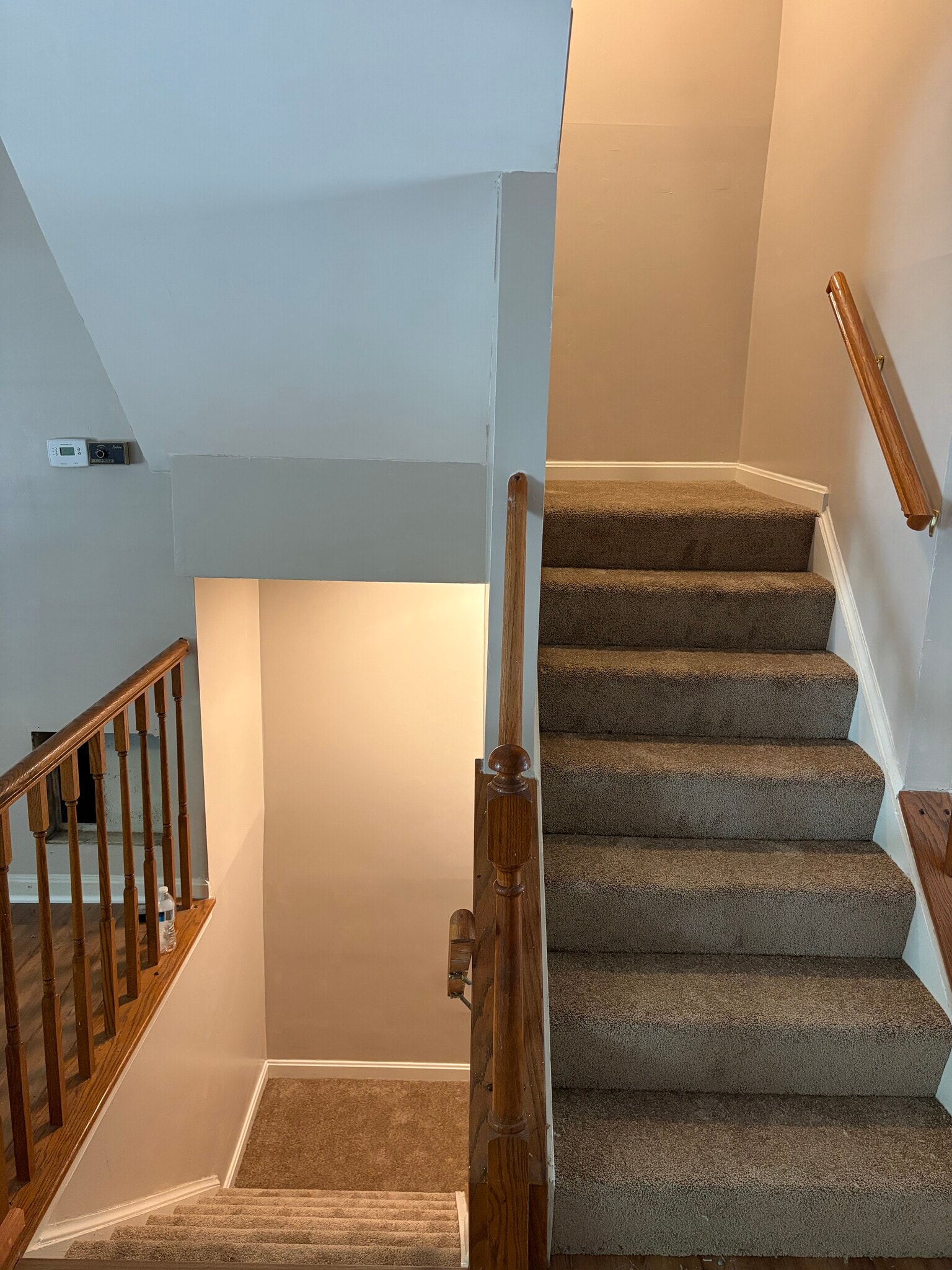Stairs going down to basement, up to bedrooms - 7722 Wolford Way