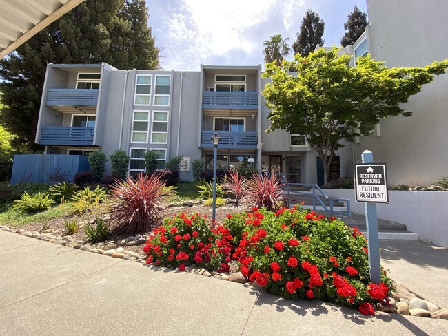 Building Photo - Riverfront Apartments