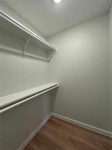 Building Photo - 9904 Ivy Leaf Ln