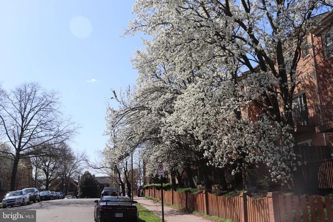 Building Photo - 942 S Rolfe St