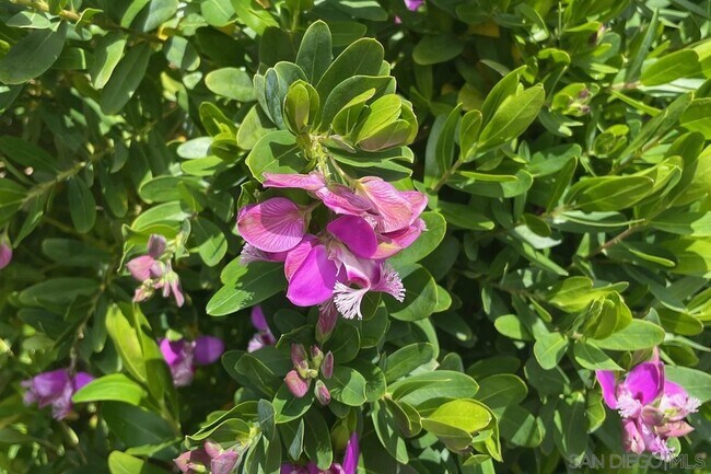 Building Photo - 608 Persimmon Way