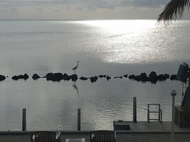 Building Photo - 159 Dubonnet Rd